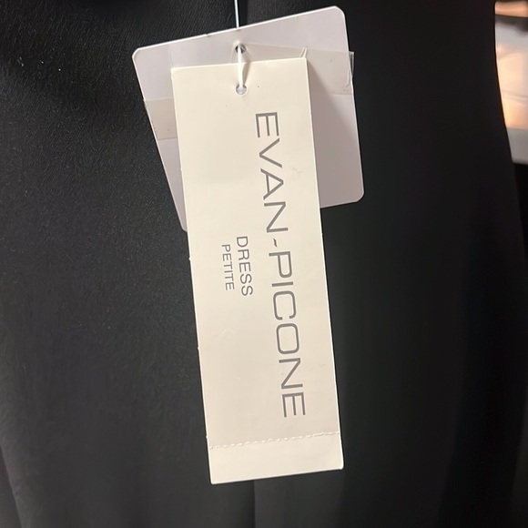 EVAN PICONE SLEEVELESS BLACK EVENING DRESS W/ EMBELLISHMENTS SIZE 14 PETITE NWT - Picture 3 of 7